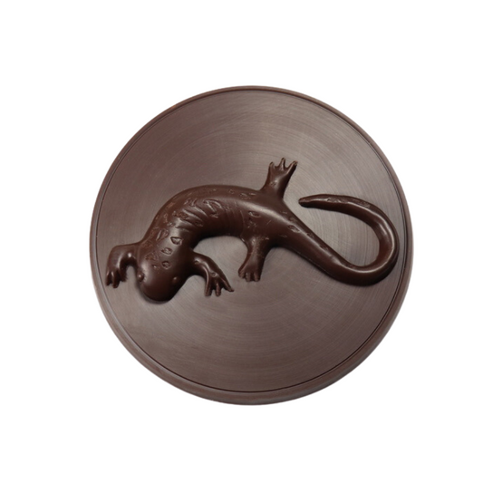 Salamander Medallion