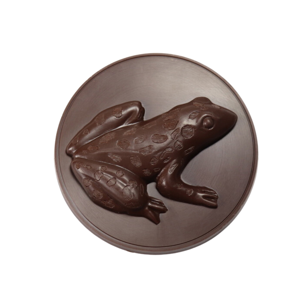 Leopard Frog Medallion