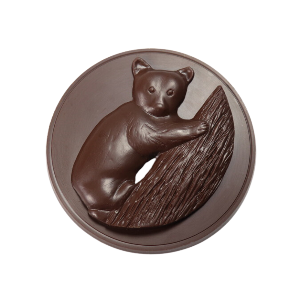 Bear Cub Medallion