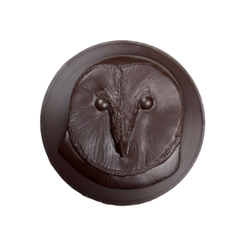 Barn Owl Medallion