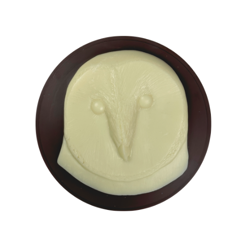 Barn Owl Medallion