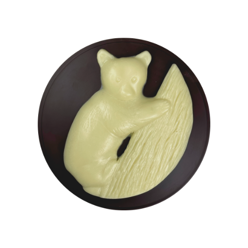 Bear Cub Medallion