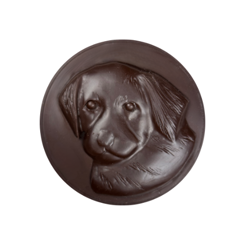Retriever Puppy Medallion