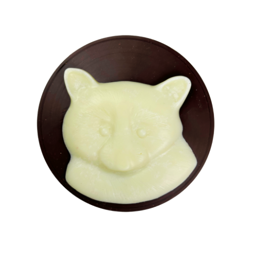 Raccoon Medallion