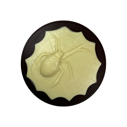 Garden Spider Medallion