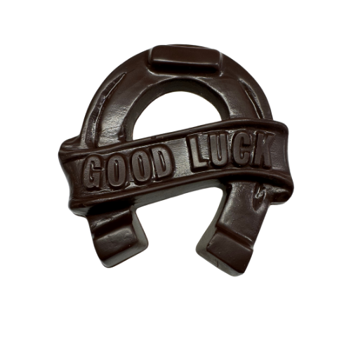 Good Luck Horse Shoe