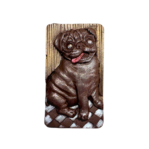 Pugz