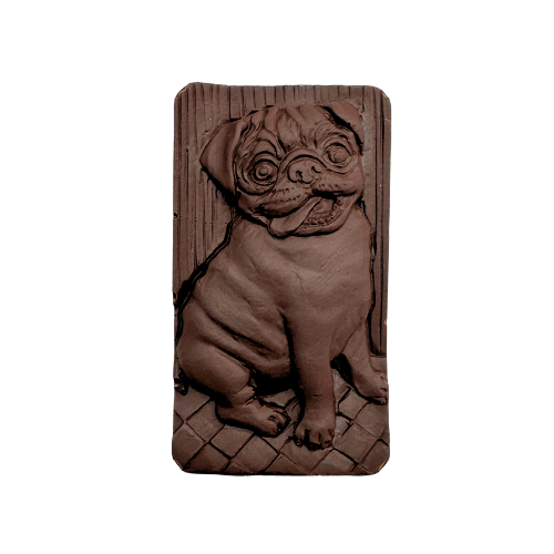 Pugz