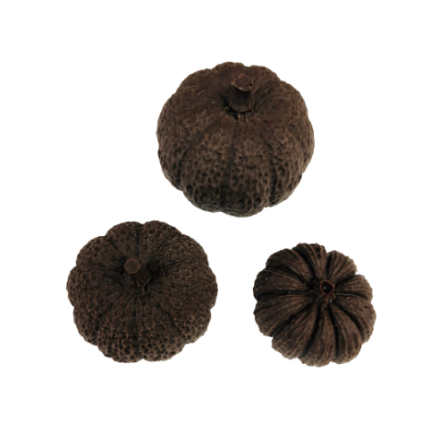 3D Pumpkins Trio