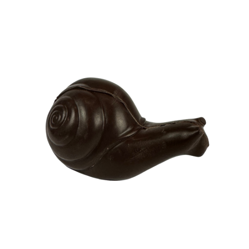 Snail with Shell