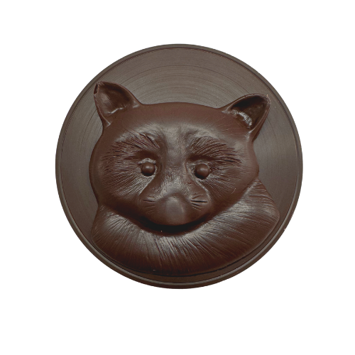 Raccoon Medallion