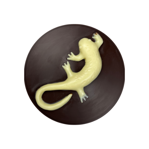 Salamander Medallion