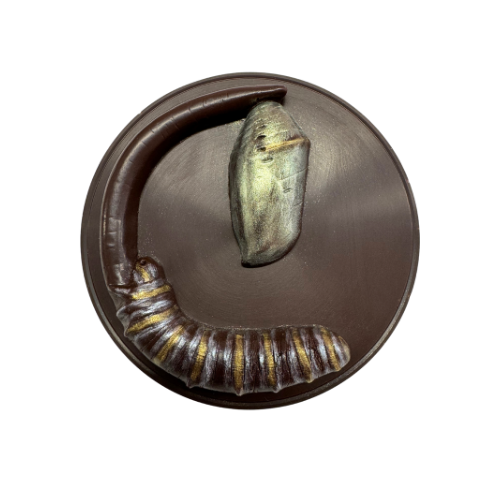 Caterpillar Chrysalis Medallion